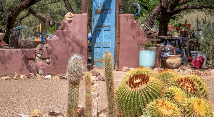 A cactus garden and colorful ceremic pots near a Southwest style fence and gate adorn the grounds of Desert Meadow Park. By Norma Jean Gargasz