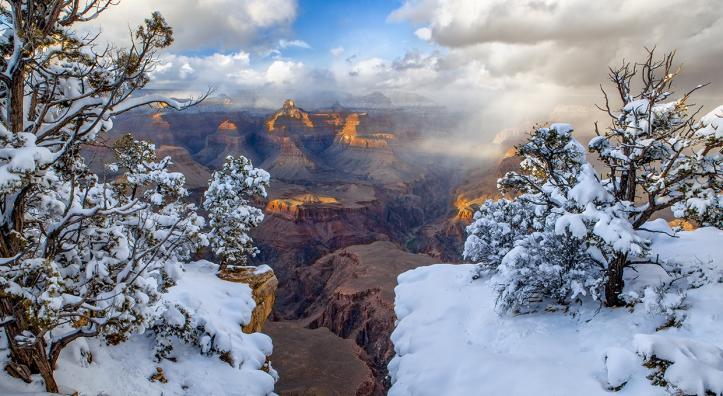 Snow-covered foliage near Yavapai Point, on the South Rim, anchors a view into the Grand Canyon at sunset. This photo illustrates how winter precipitation typically falls as snow on the Canyon’s rims, but melts into rain before reaching the bottom of the gorge. | Guy Schmickle
