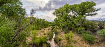 Storm clouds gather over the San Pedro River in a view near Charleston Road. By A.O. Tucker