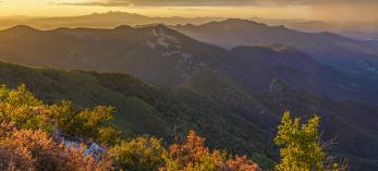 Fall foliage anchors a sunset view of the Huachuca Mountains and the distant Santa Rita Mountains from the summit of Carr Peak. By Laurence Parent