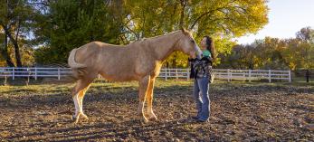 Joanne Cacciatore lovingly cradles the contented face of Chemakoh, a tan rescue horse, at Selah Carefarm, near Sedona. By John Burcham