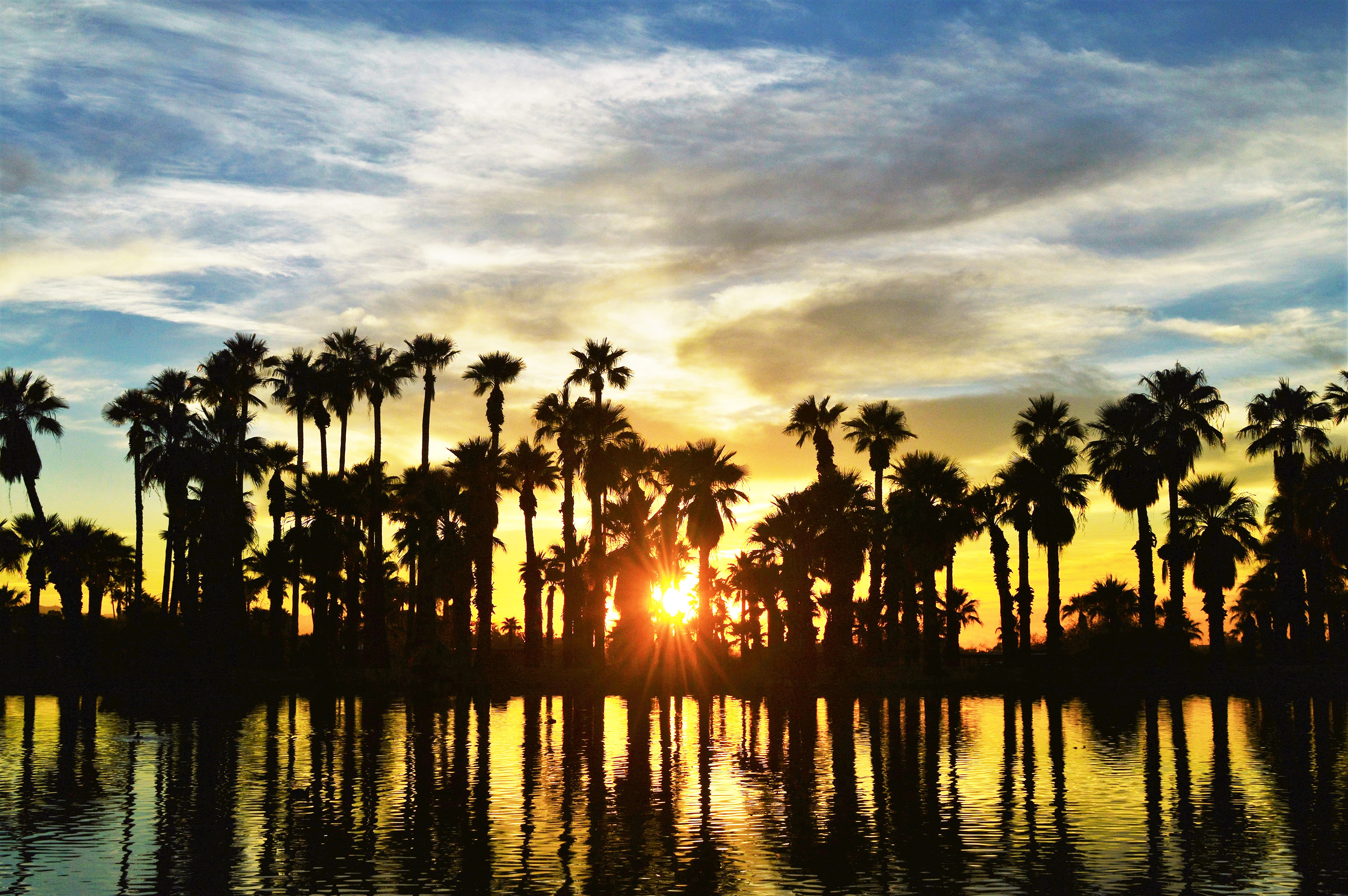 Photo by Jerry Bombardier  |  A warm sunset shines through silhouetted palm trees.