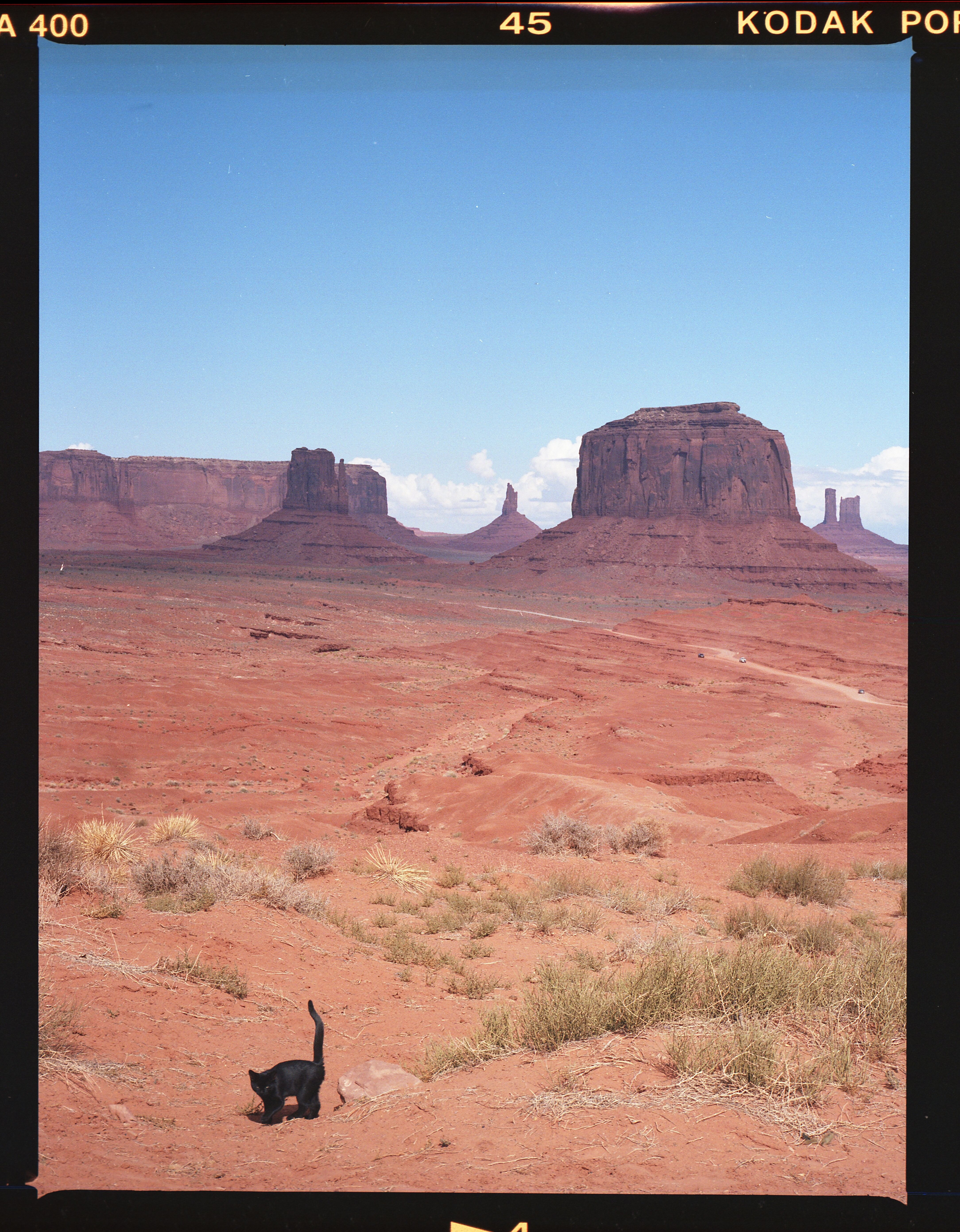 Photo by Ricardo Palomera  |  Black Rez cat in Monument Valley 