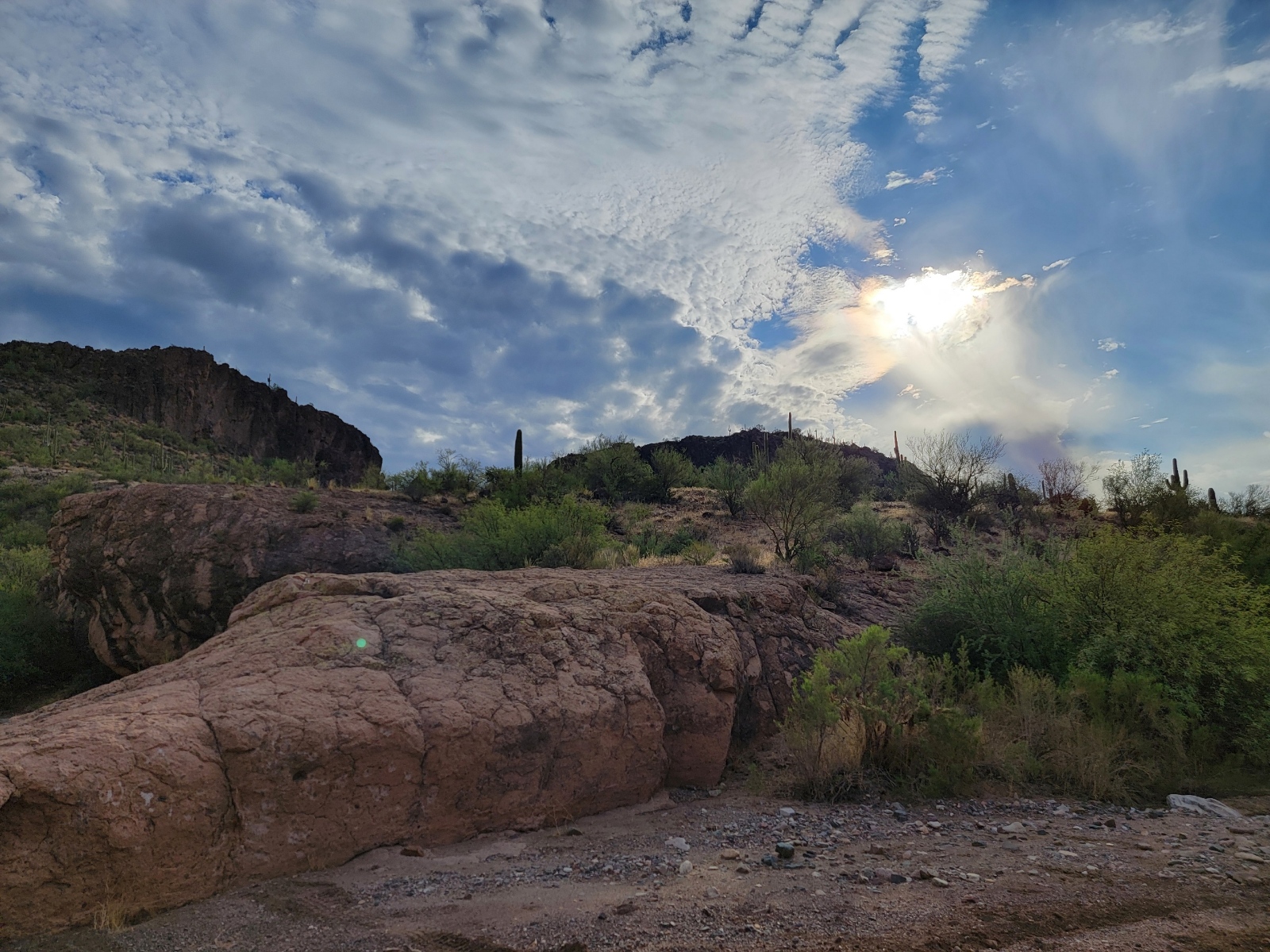 Photo by Jess Graham  |  