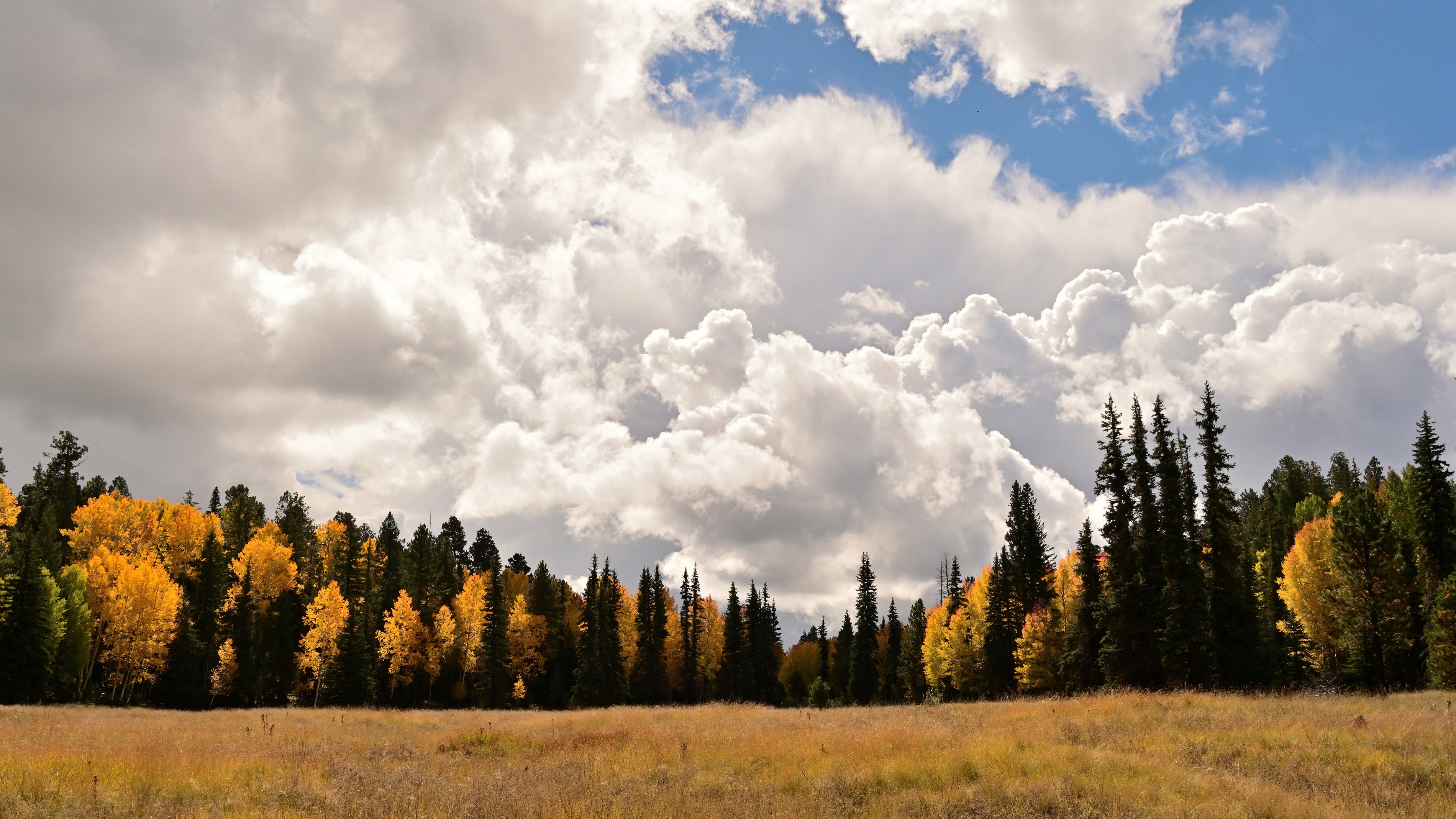 Photo by David Burns  |  Break in the storm creates unbelievable fall color contrast.