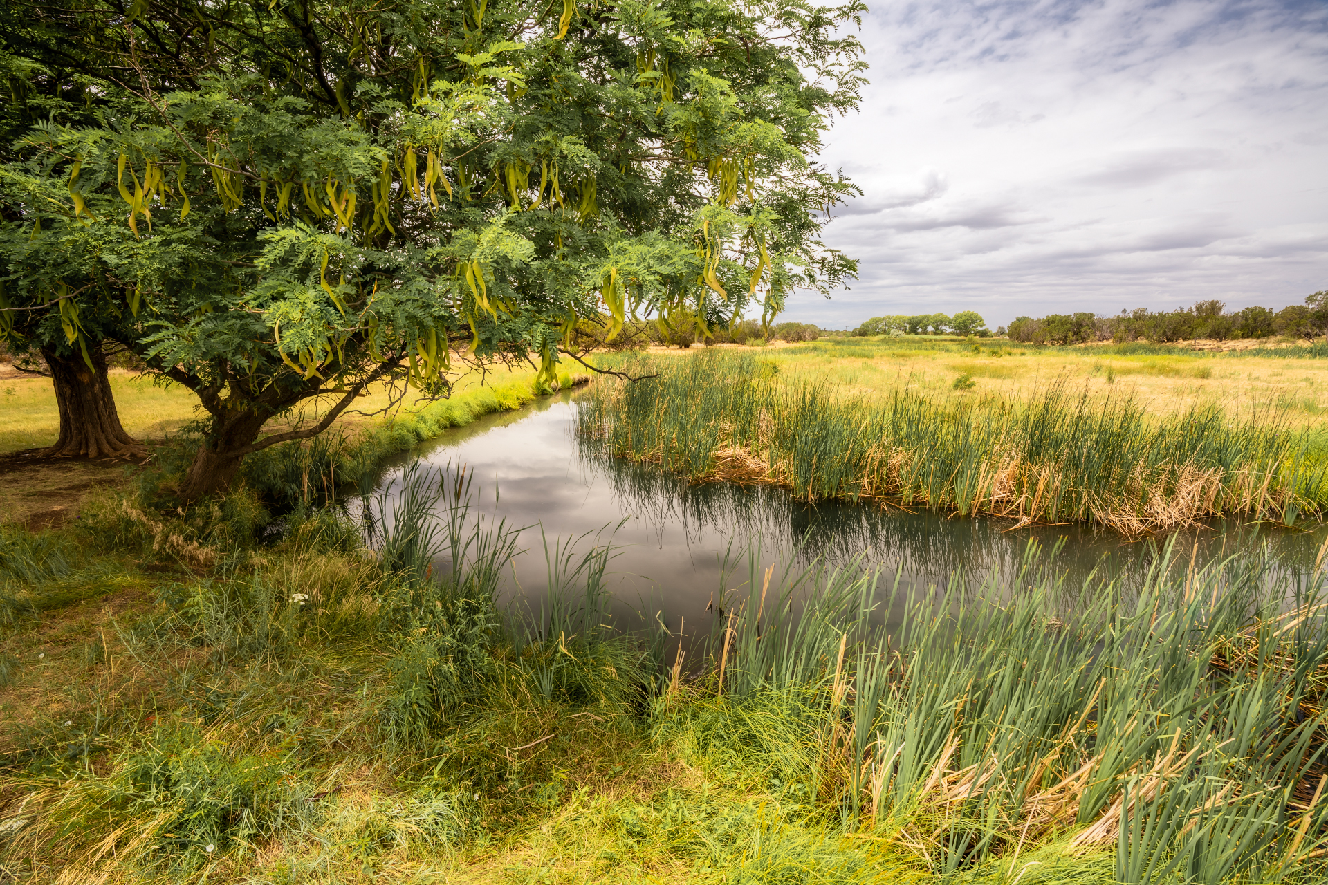 Photo by Ben Akers  |  The Silver Creek flows the Silver Creek Fish Hatchery near Show Low Arizona.