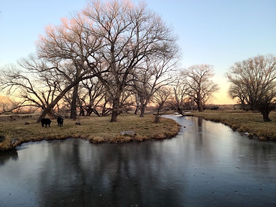 010321_Rebecca_Brinkerhoff.jpg 010321_Rebecca_Brinkerhoff.jpg