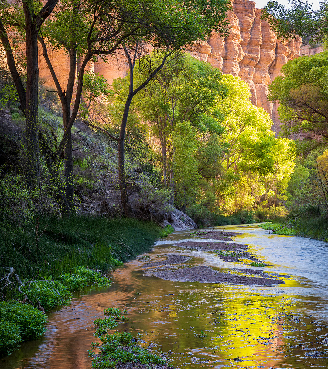 Aravaipa Canyon by Photographer Jeff Maltzman