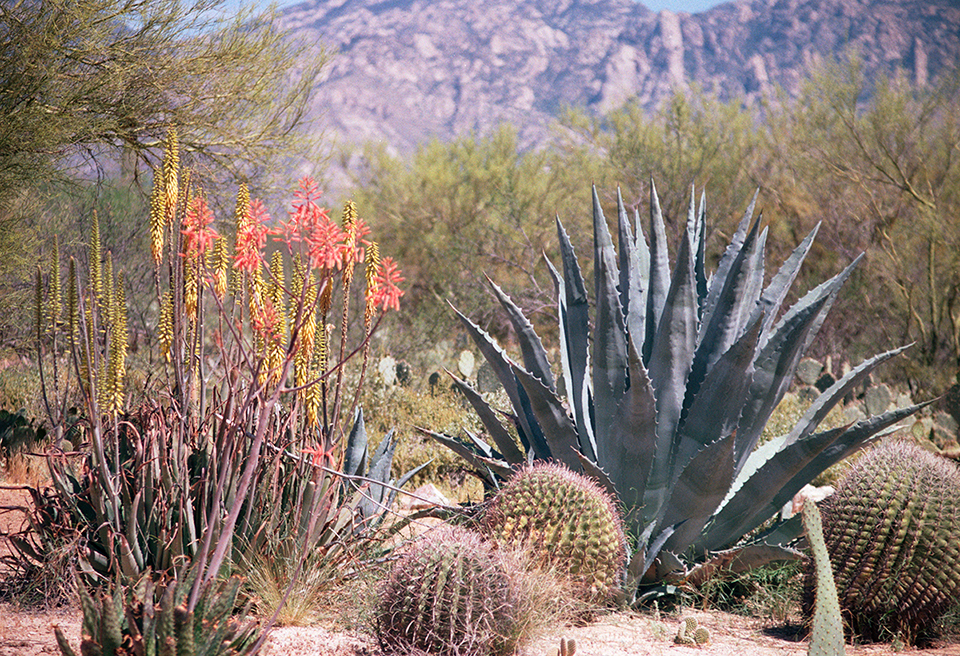 Photo of the Day Archive | Arizona Highways