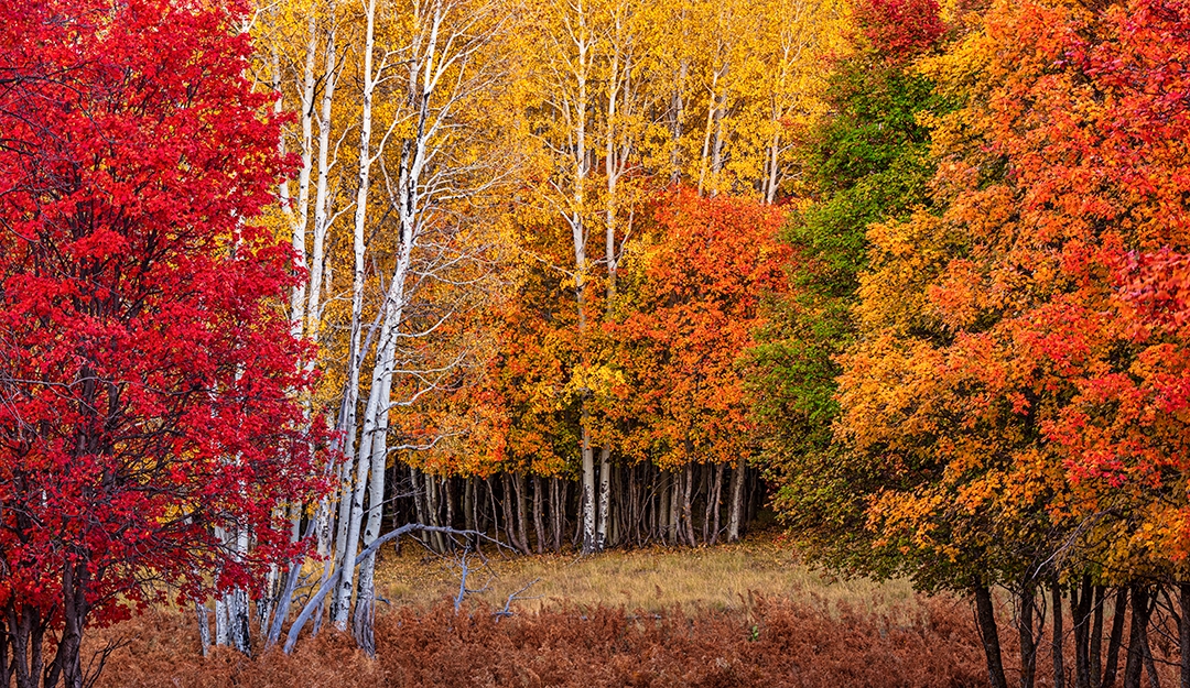 Photograph by Douglas Koepsel