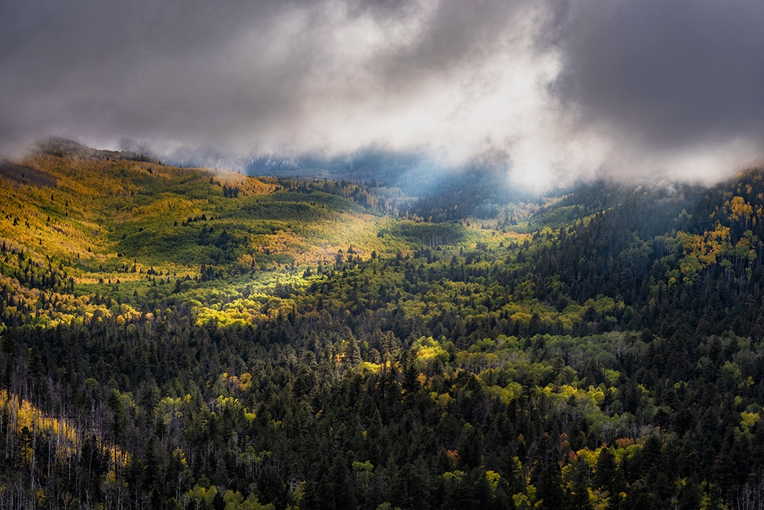 Photograph by Douglas Koepsel
