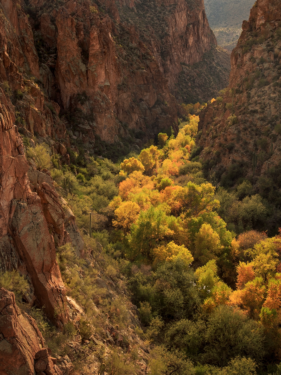 Photograph by Douglas Koepsel