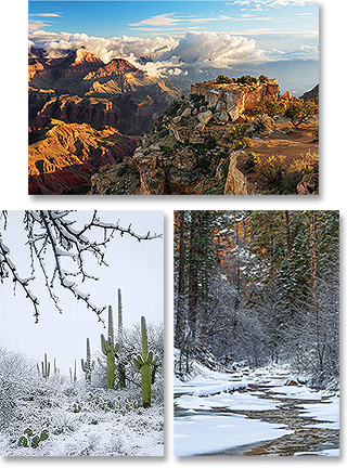 Get $2 off each box of holiday cards until September 30, 2019.