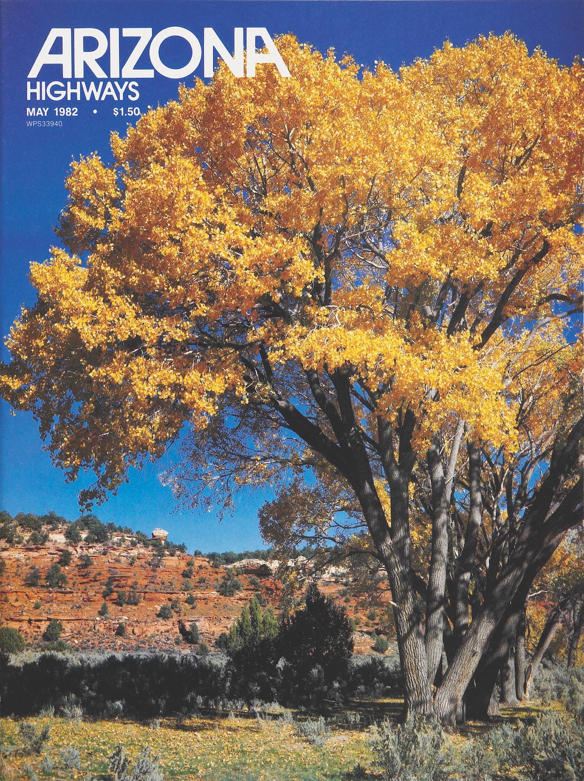 May 1982 cover of Arizona Highways