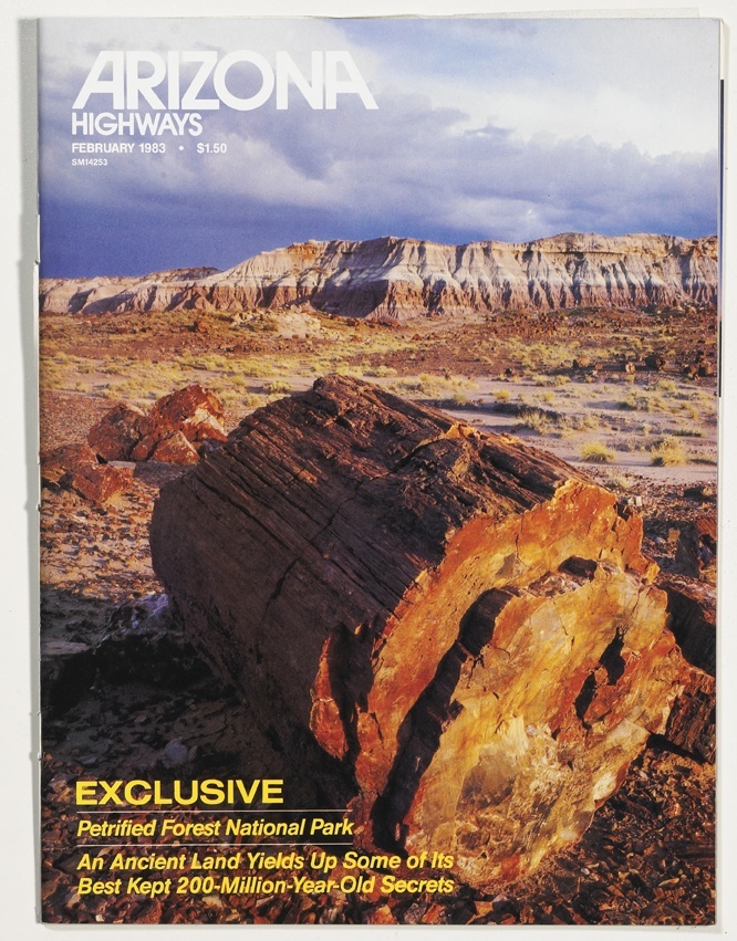 hohokam electric hohokam electric