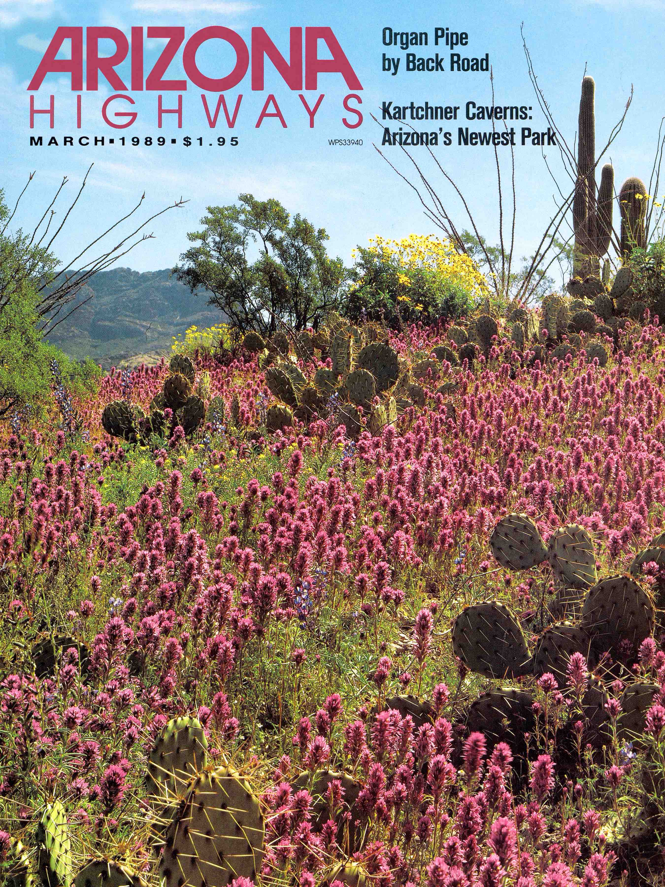 Arizona Highways March 1989 cover