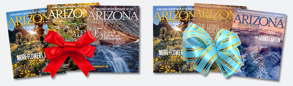 Renew your holiday gift subscriptions.