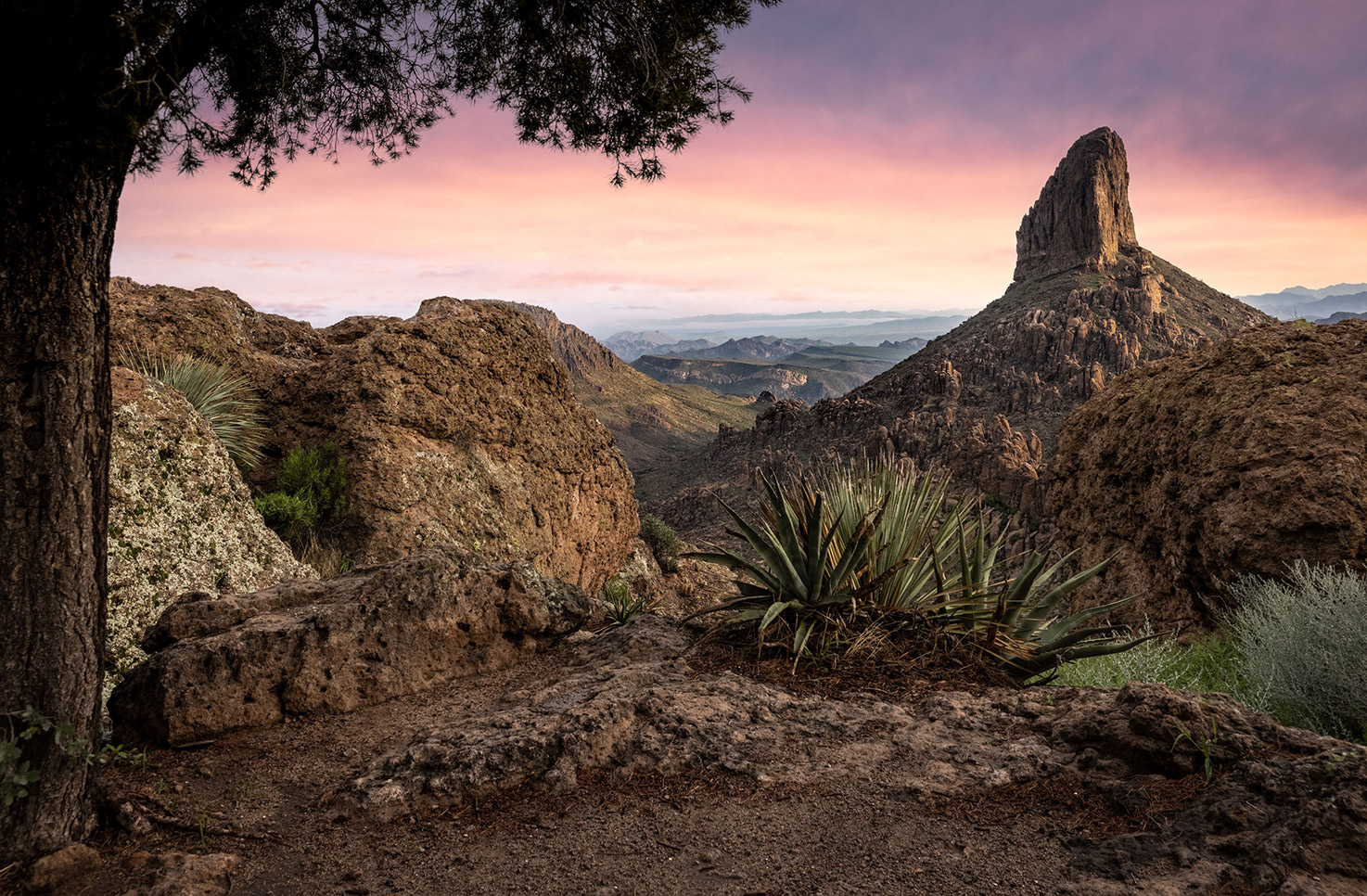 Absolutely Arizona reveals A Mountain history