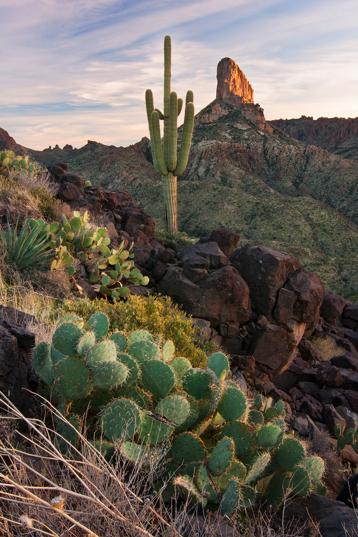 Photograph by Joel Hazelton