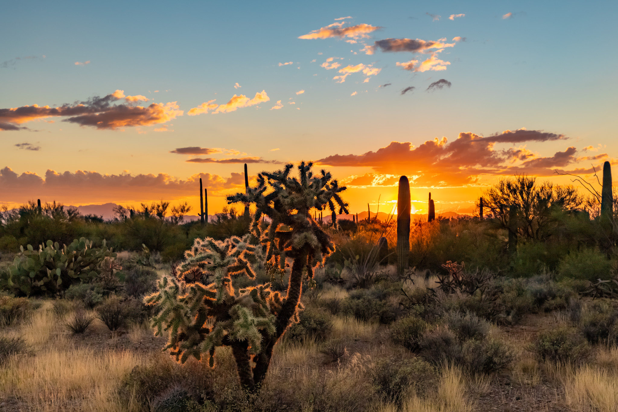 Photograph by Mark Navarro