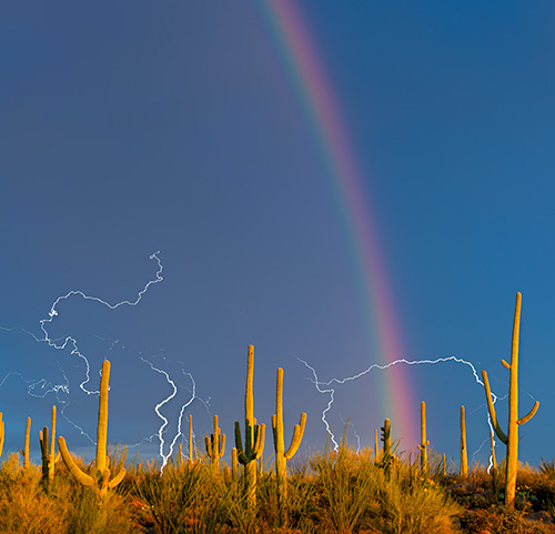 Photograph by Jack Dykinga