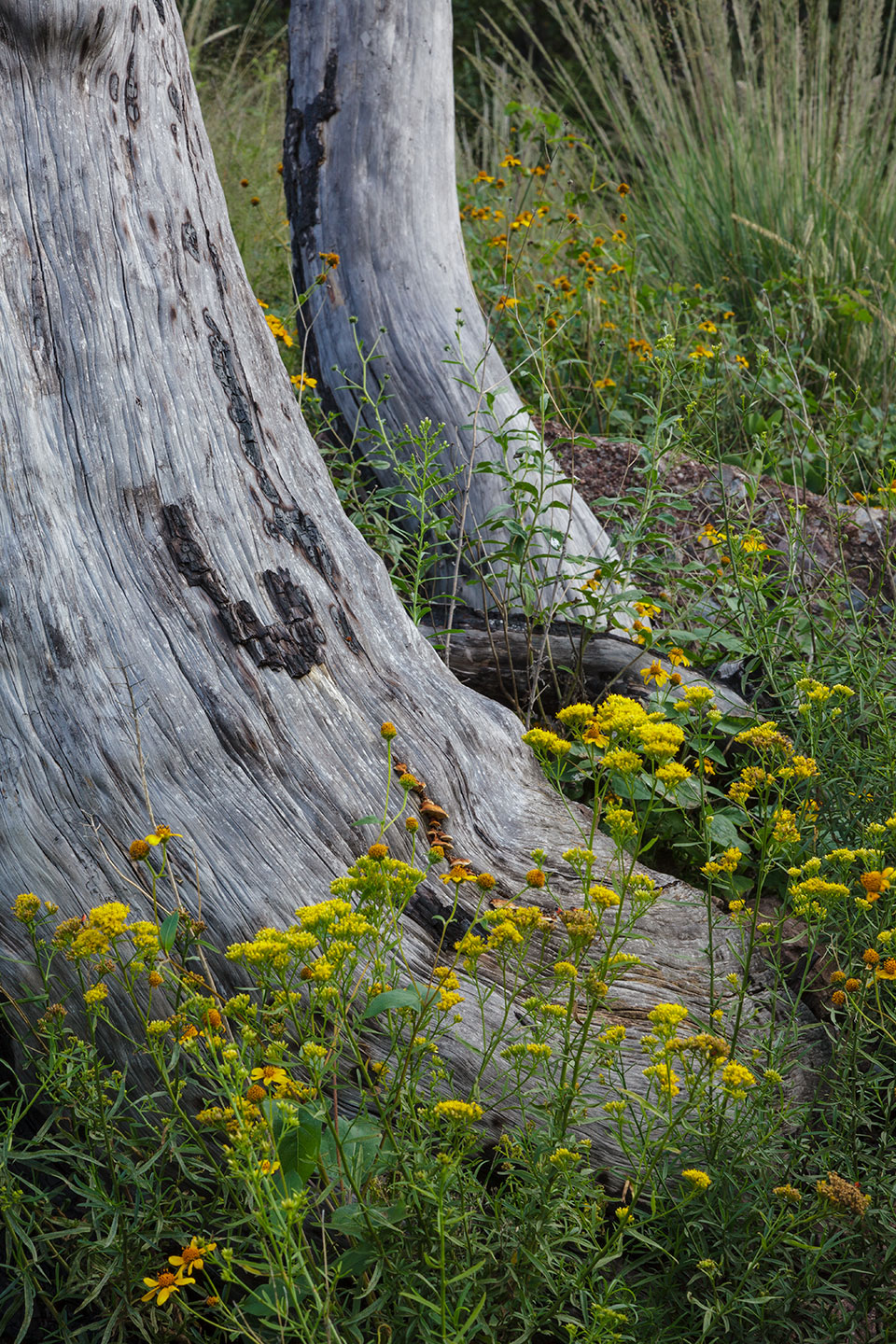 Photograph by Randy Prentice