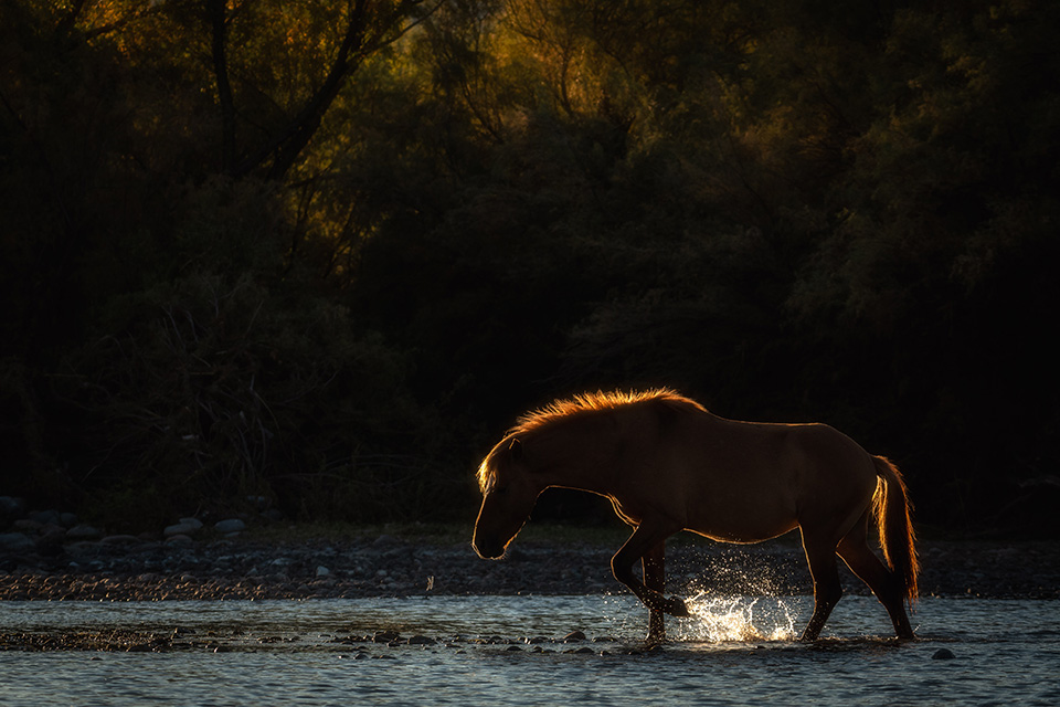 Photograph by Jackie Cavanagh