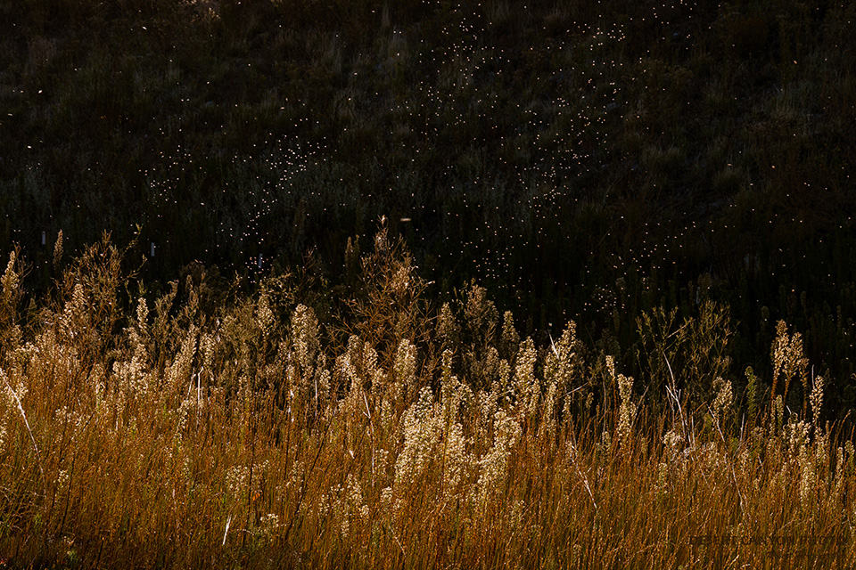 Photograph by Robert Hergenrather
