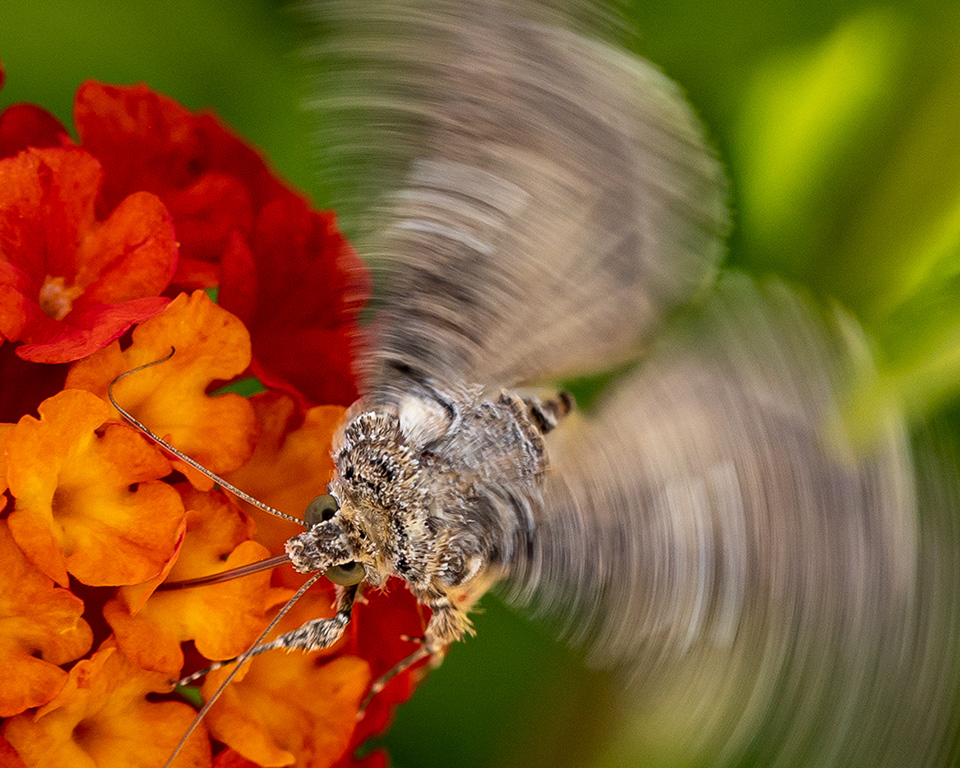 Photograph by Russell Wynter