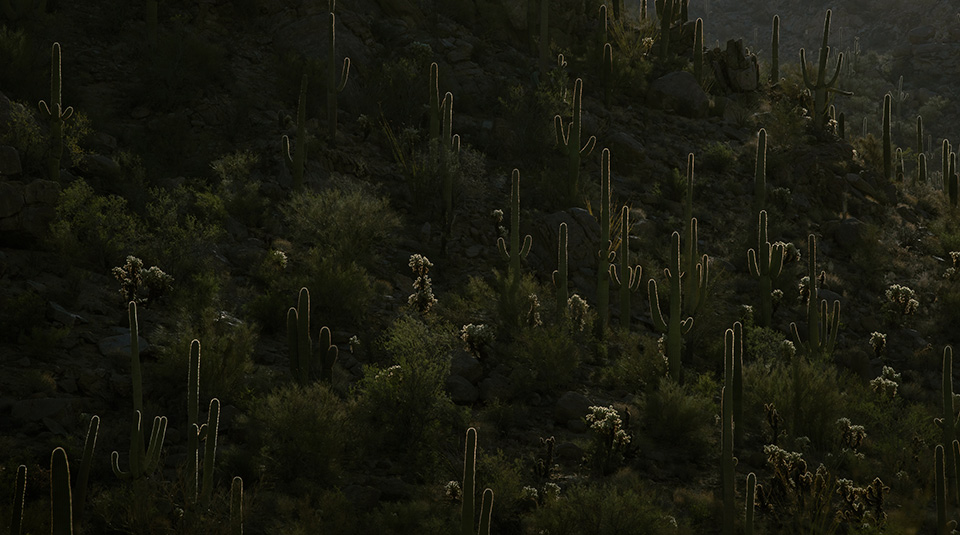 Photograph by J Fritz Rumpf