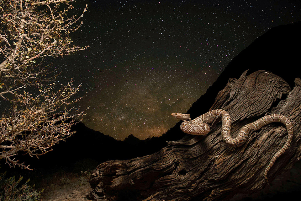 Photograph by Scott Trageser