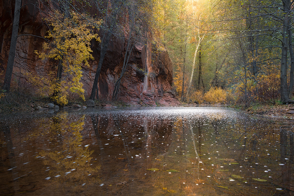 Photograph by Michael Wilson