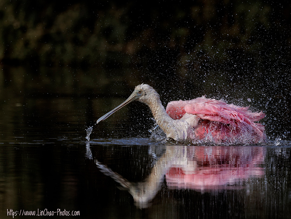 Photograph by Lin Chao