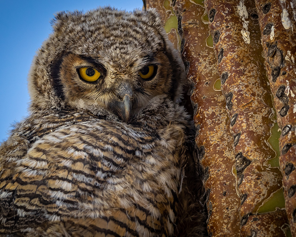 Photograph by Russell Wynter
