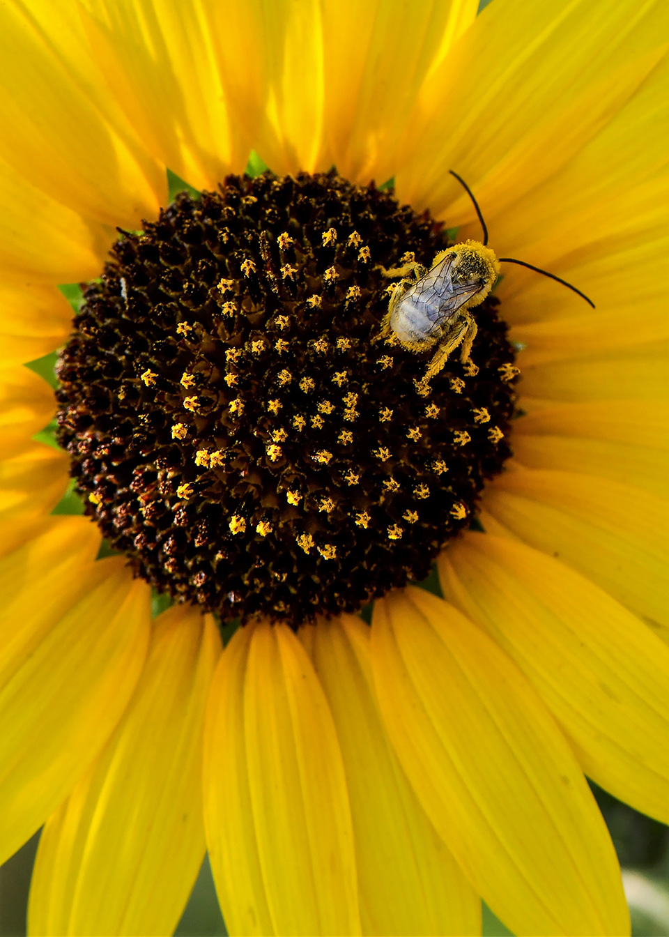 Photograph by Anne James