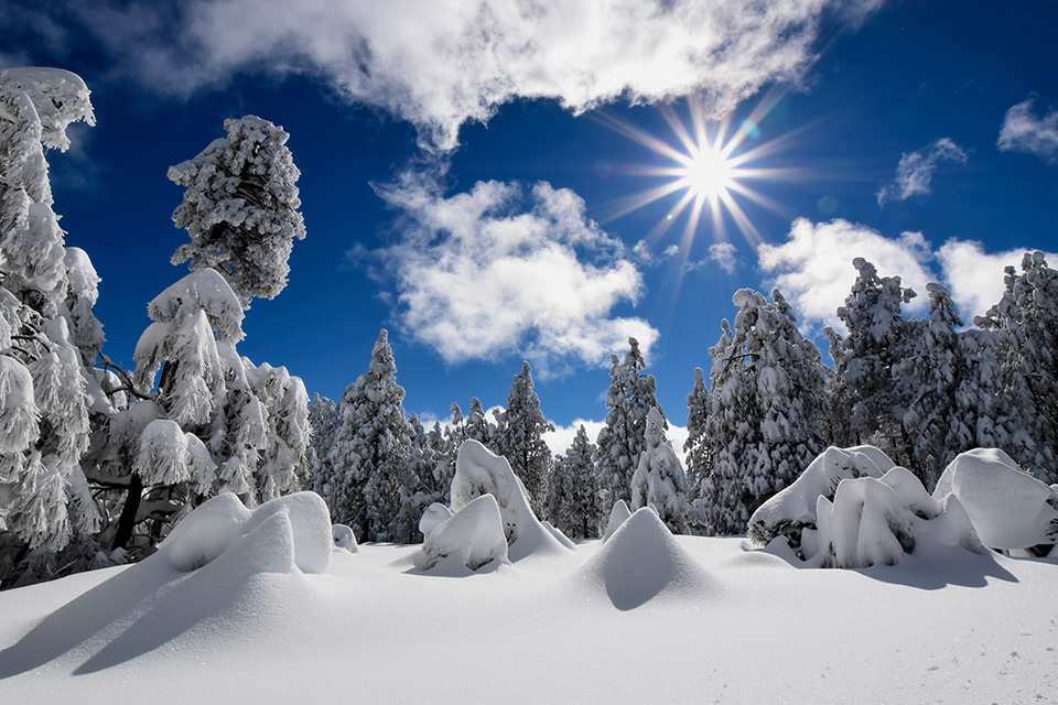 Photograph by Anne James