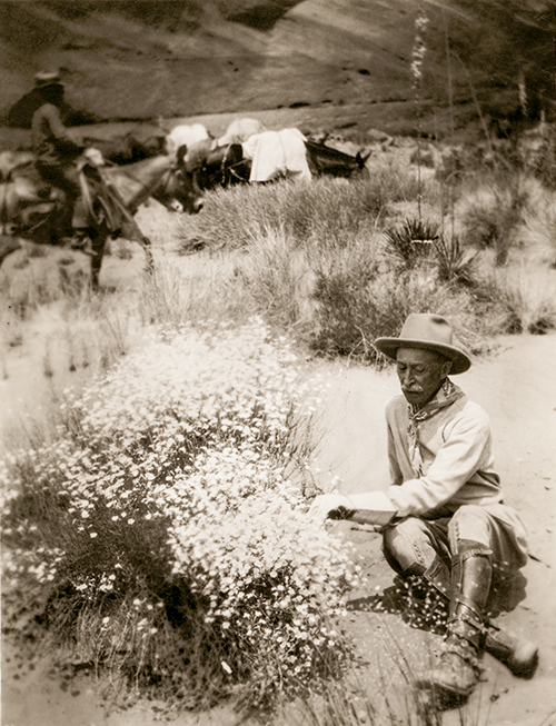 photographs courtesy of the University of Colorado Museum of Natural History