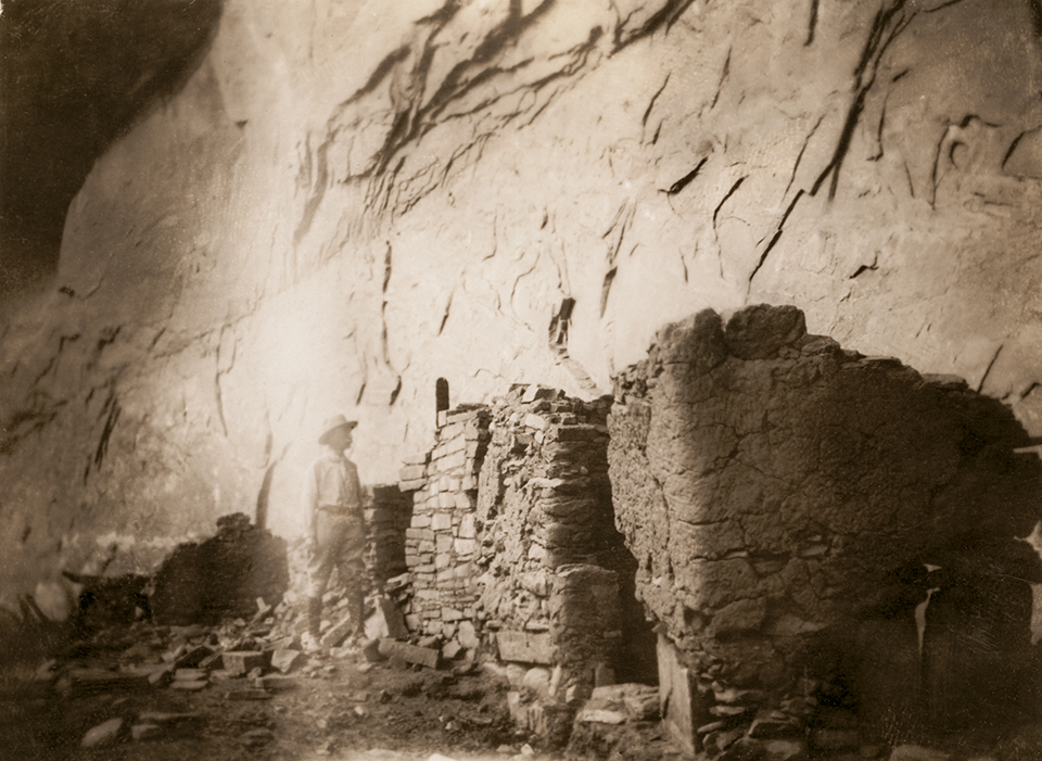 photographs courtesy of the University of Colorado Museum of Natural History