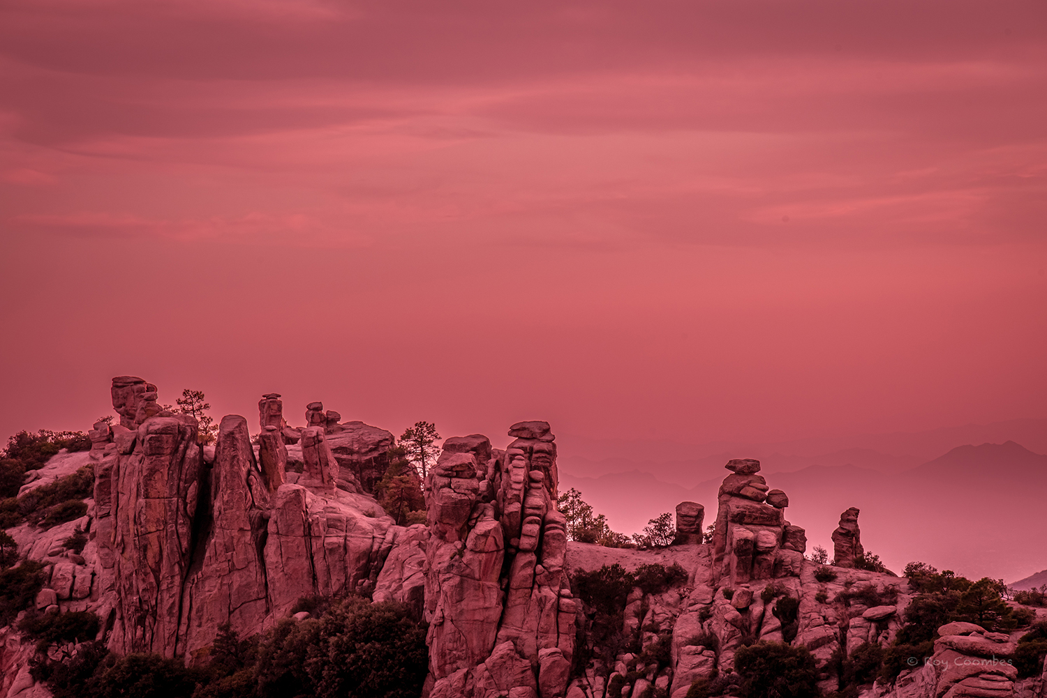 Photograph by Roy Coombes