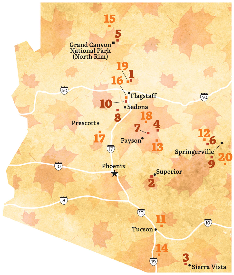 Fall Color Guide Map