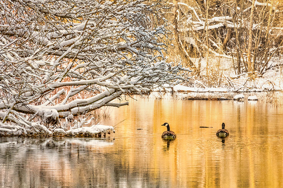 Photograph by Gerry Groeber