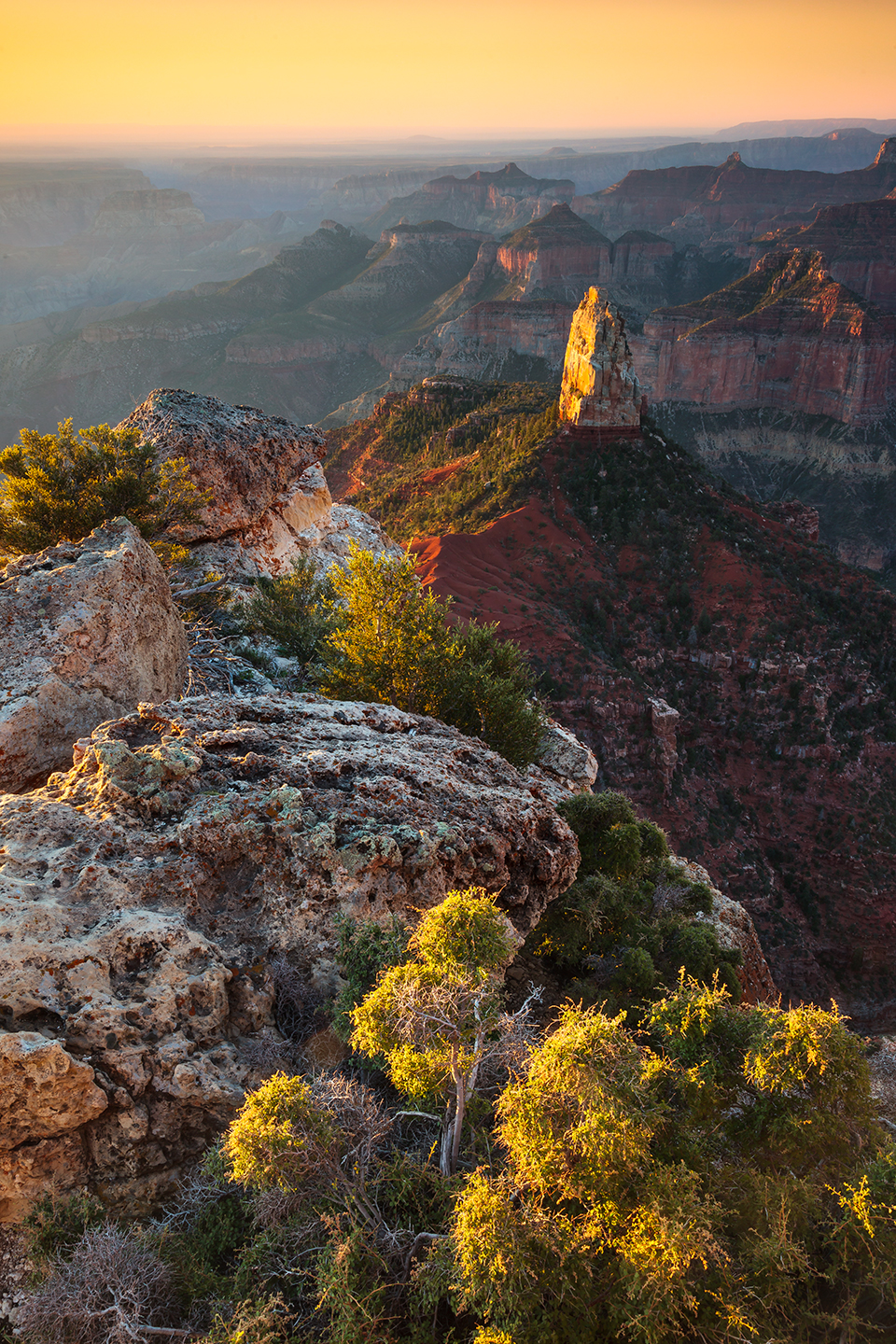 Photograph by Adam Schallau