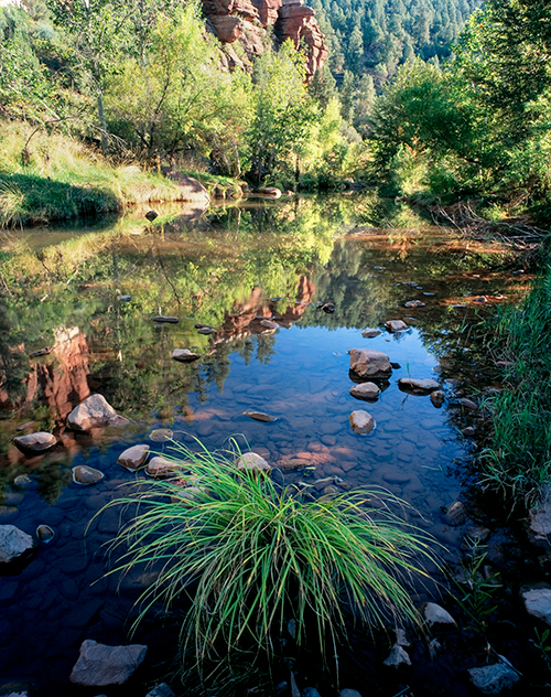 Photograph by David Muench