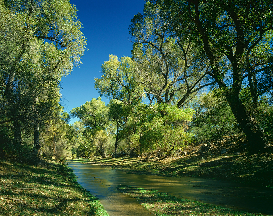 Photograph by Randy Prentice