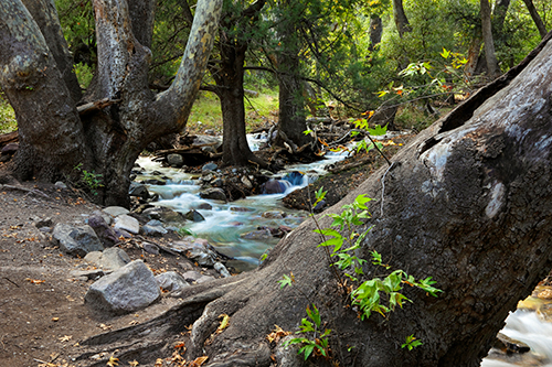 Photograph by Randy Prentice