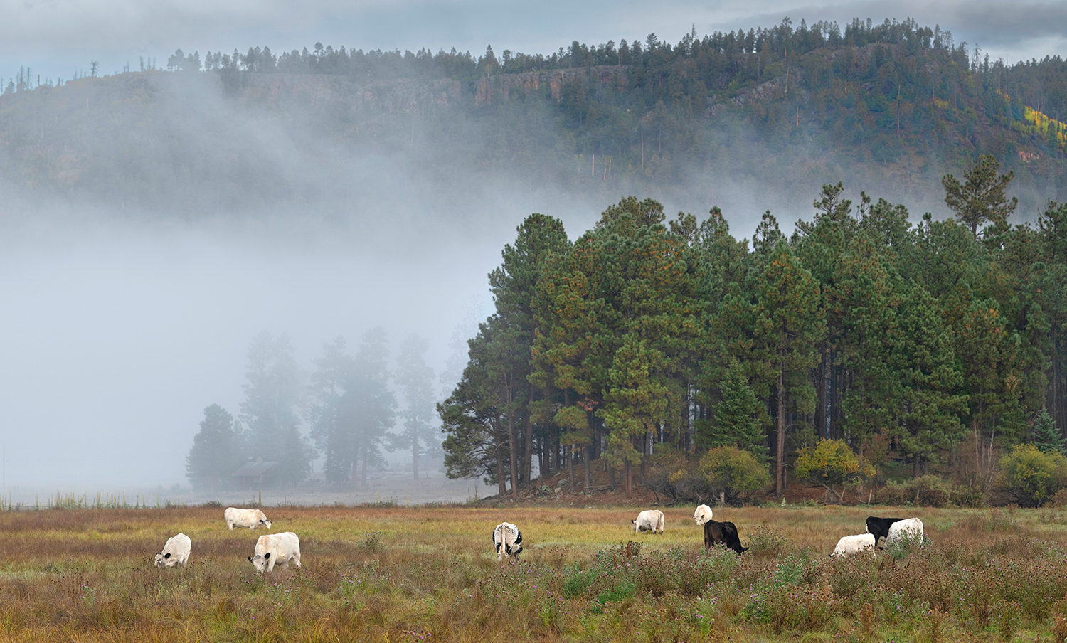 Photograph by Paul Martin