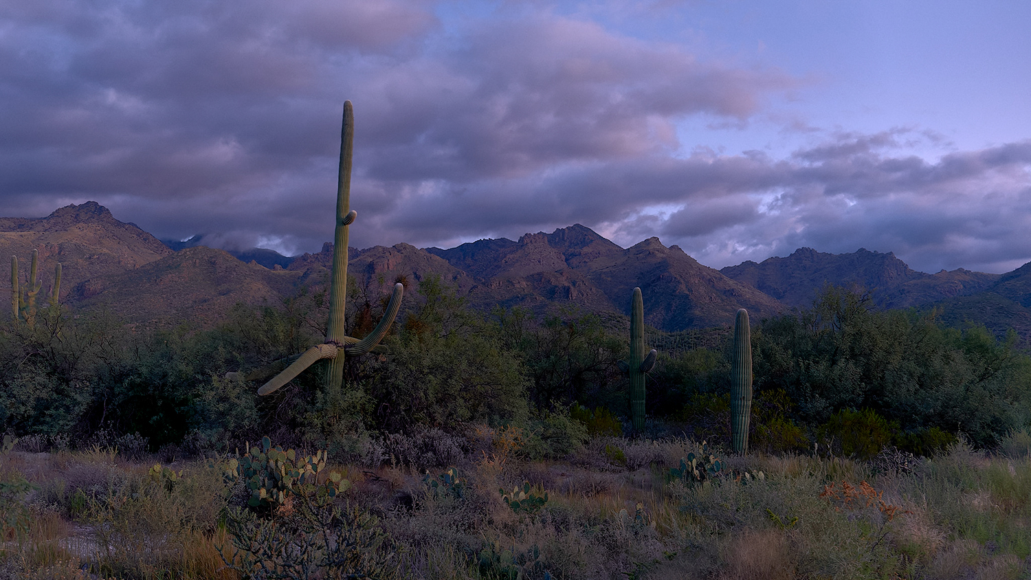 Photograph by Jerry Dean