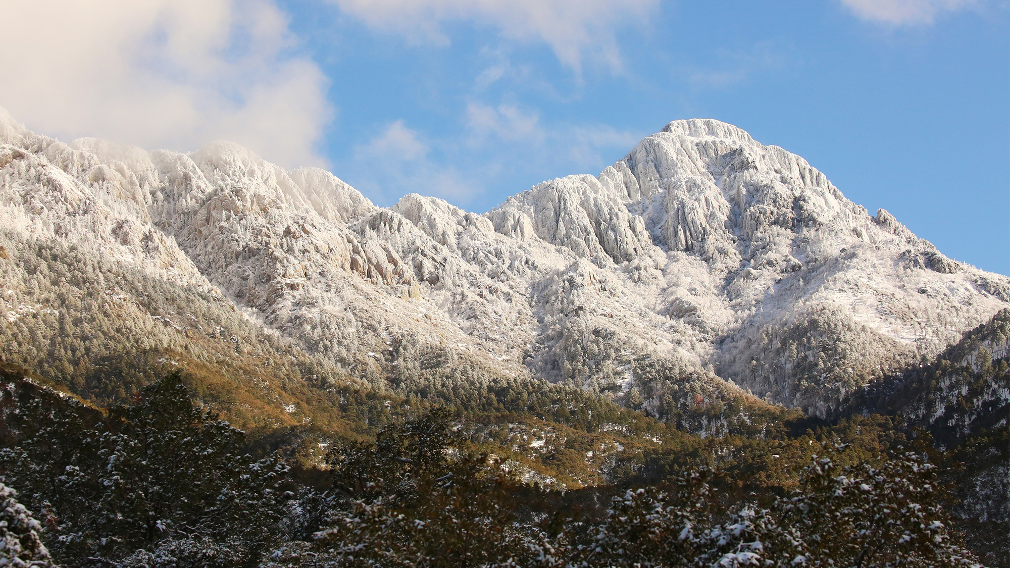 Photograph by Denise LeCount-OBrien