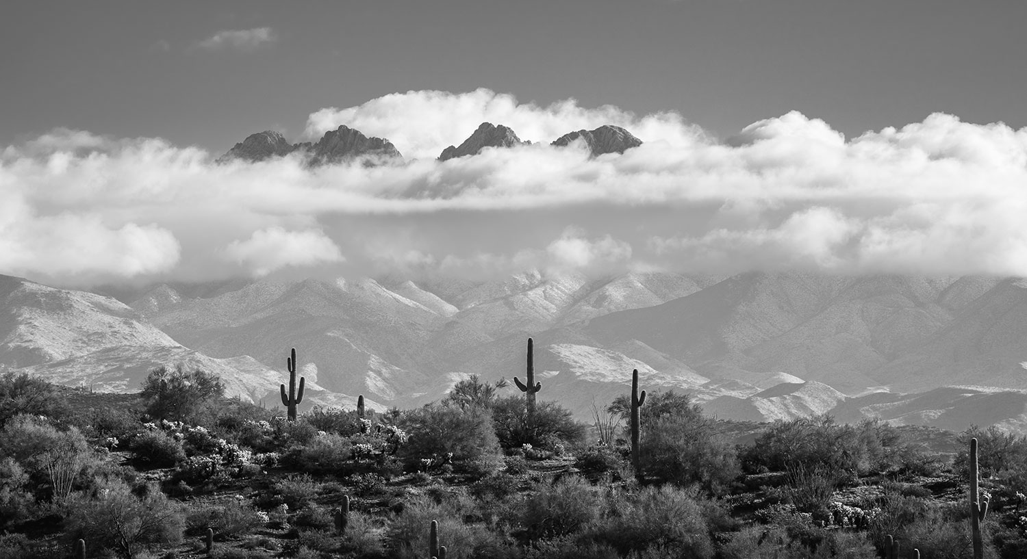 Photograph by Eric Mischke