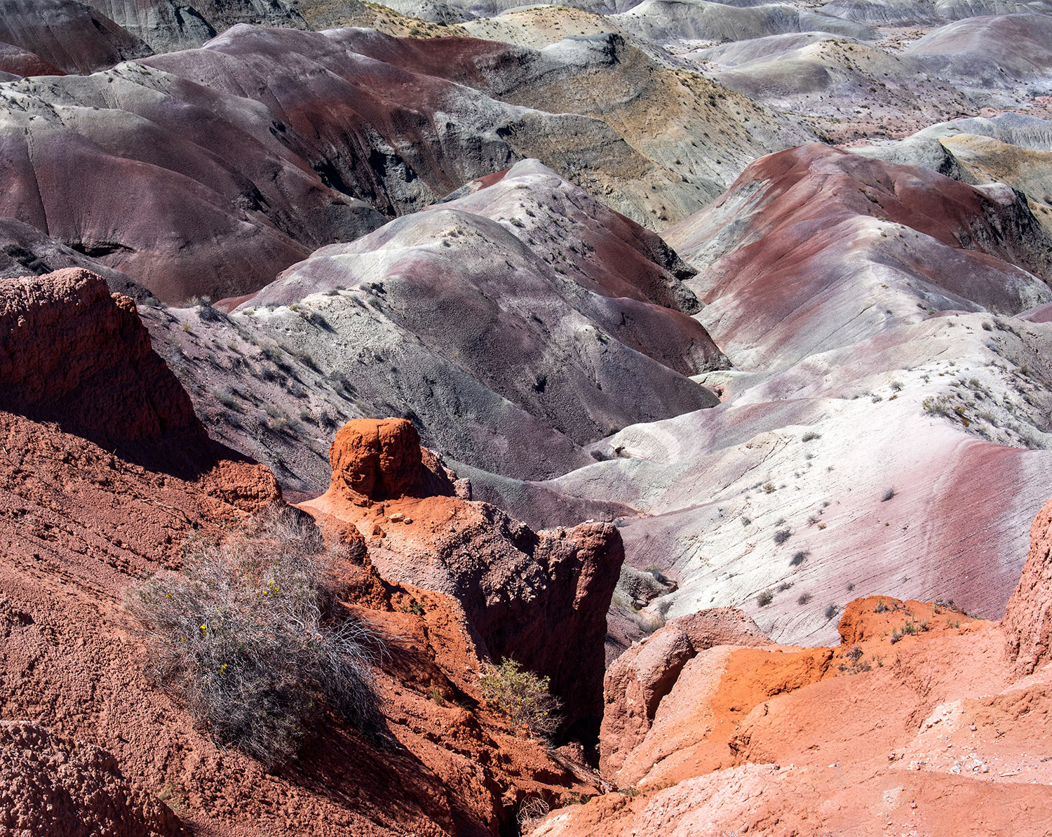 Photograph by Mark Freitag